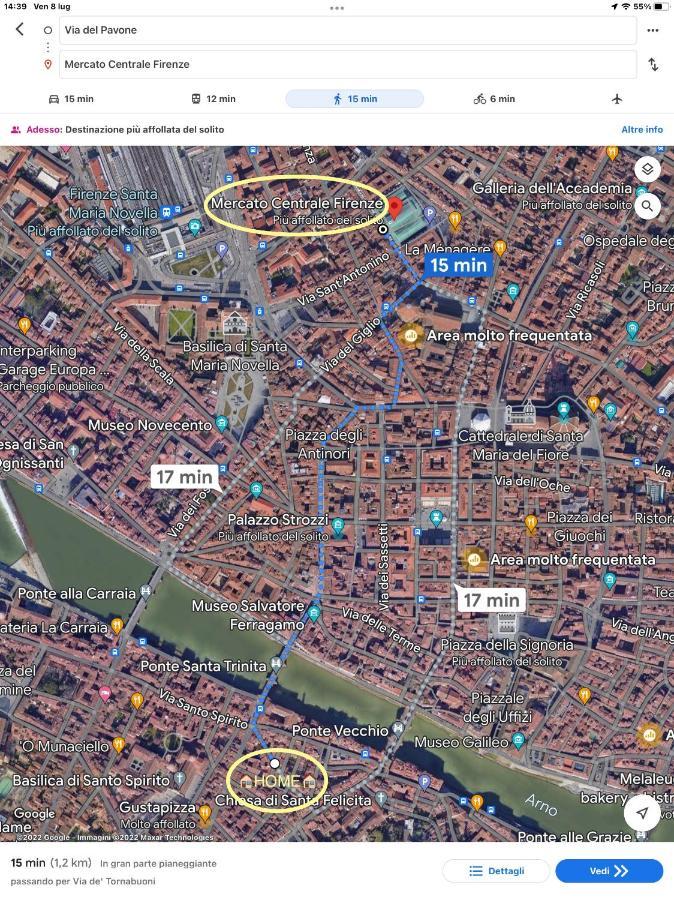 Uffizi & Santo Spirito Family/Groups Apartment Флоренція Екстер'єр фото